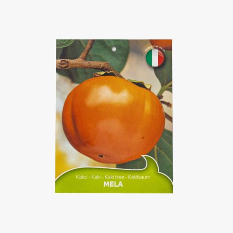 Kaki mela "Pomme"