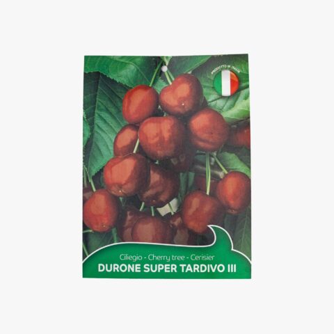 Ciliegio "Durone di Vignola II" - Super Tardiva