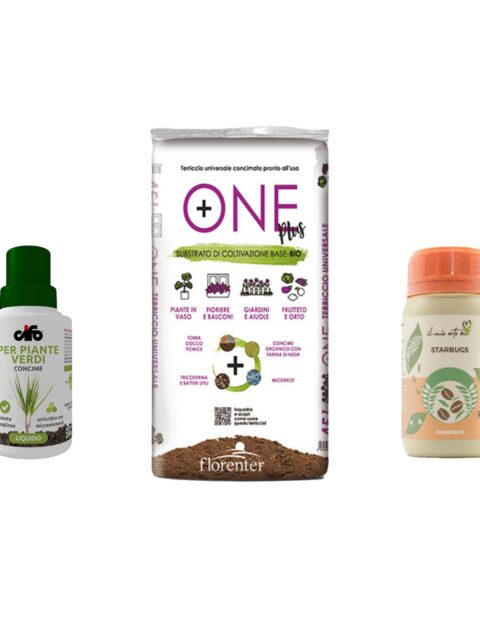Kit indispensabili