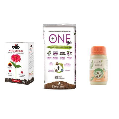 Kit per piante in vaso, fioriera o balconiera