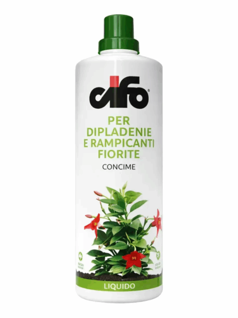 Concime liquido per Dipladenie e Rampicanti Fiorite - Cifo