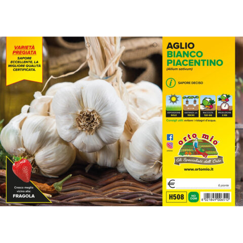 Aglio bianco piacentino