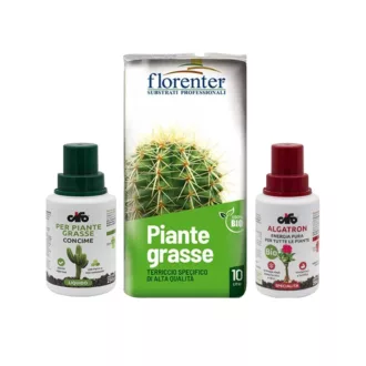 Kit per piante grasse