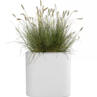 Vaso JIVE SQUARE - Elho