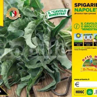 Cavolo broccolo Spigariello napoletano